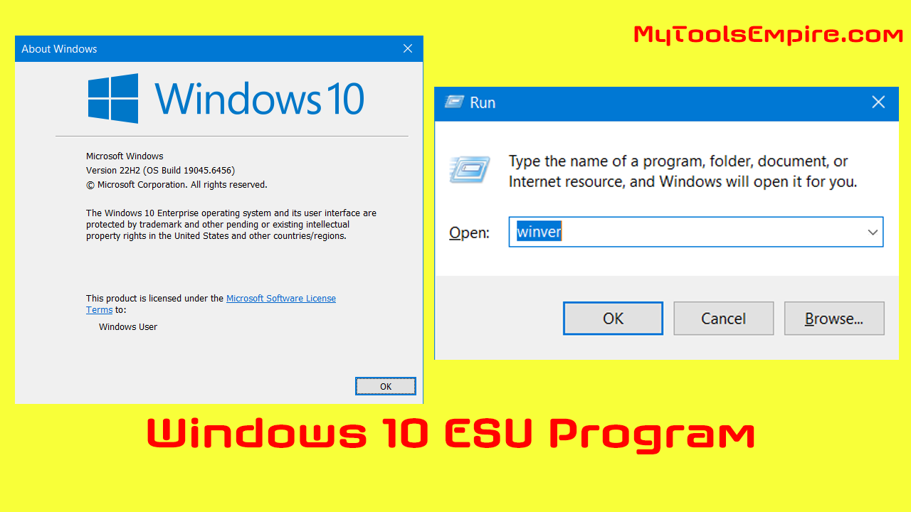 windows 10 ESU Program